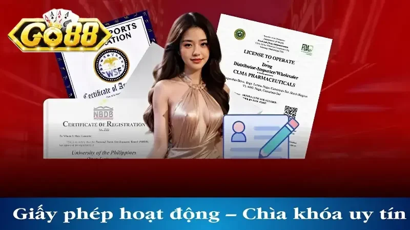 Giấy phép hoạt động là gì?